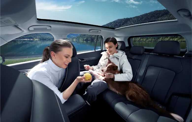 JAECOO 5 y sus materiales innovadores Pet-Friendly: Protección sanitaria y control de olores para mascotas